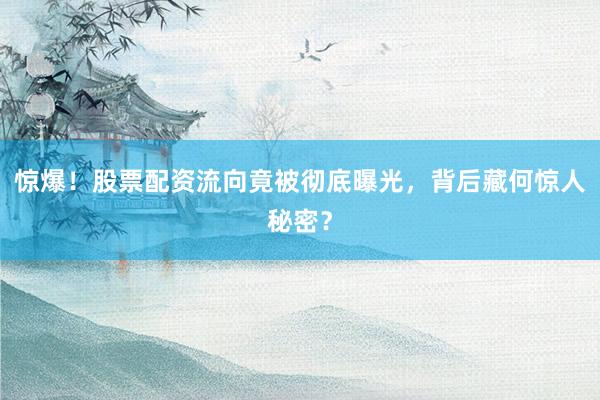 惊爆！股票配资流向竟被彻底曝光，背后藏何惊人秘密？