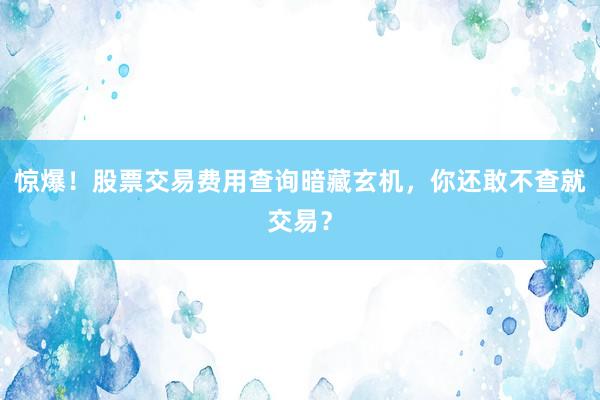惊爆！股票交易费用查询暗藏玄机，你还敢不查就交易？