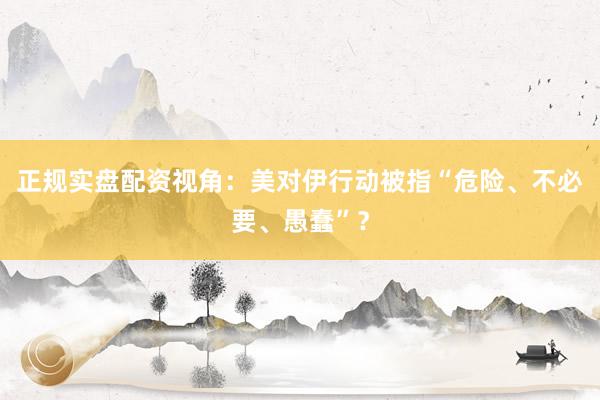 正规实盘配资视角：美对伊行动被指“危险、不必要、愚蠢”？