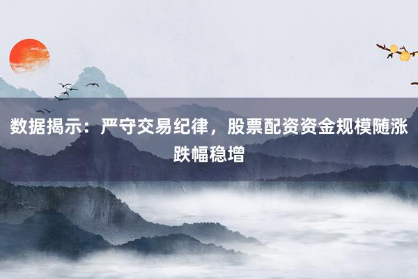 数据揭示：严守交易纪律，股票配资资金规模随涨跌幅稳增