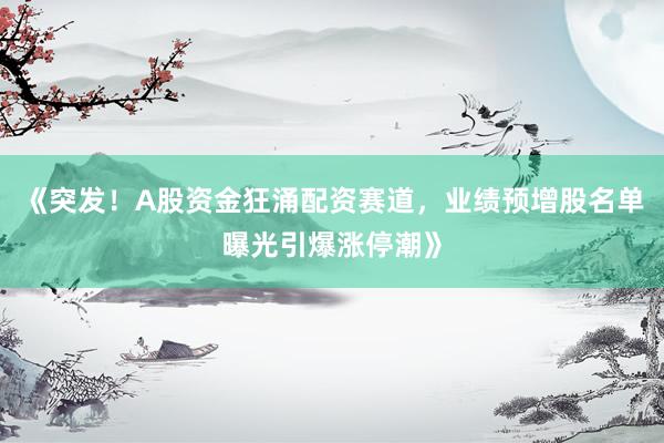 《突发！A股资金狂涌配资赛道，业绩预增股名单曝光引爆涨停潮》