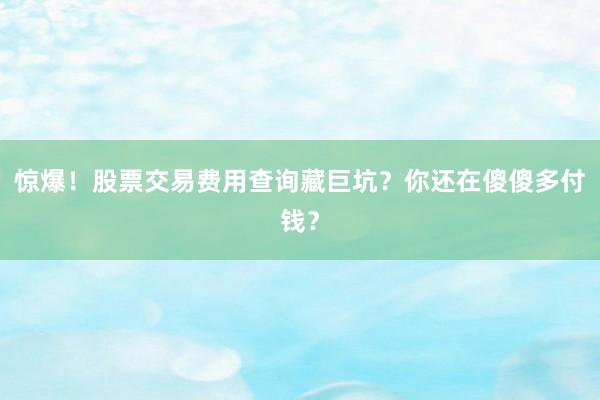 惊爆！股票交易费用查询藏巨坑？你还在傻傻多付钱？